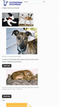 Mobile Screenshot of greyhoundgreetings.com